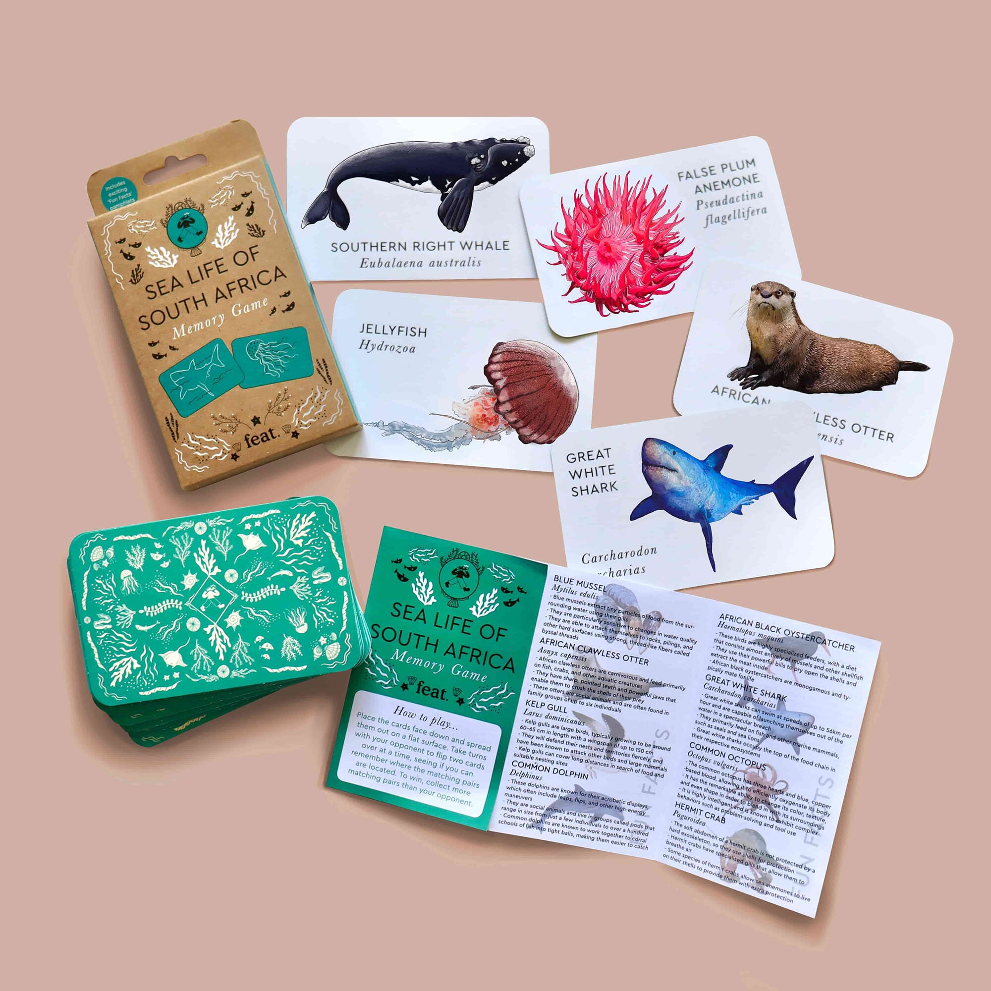 FEAT Memory Game - Sea Life of South Africa Games FEAT.