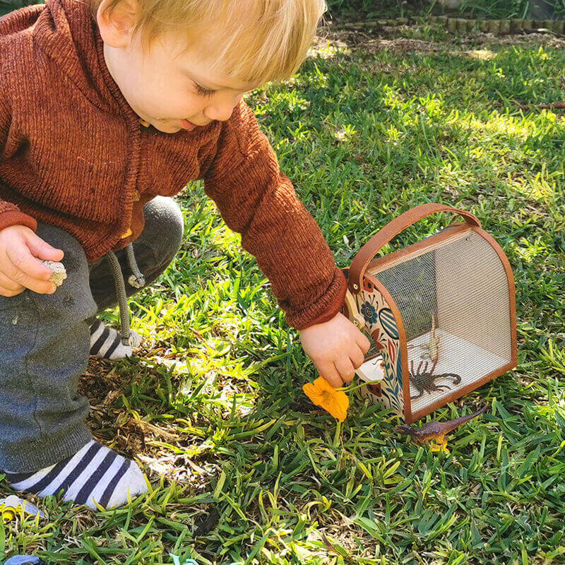 Envirokid Wooden Bug Box Toys Envirokid