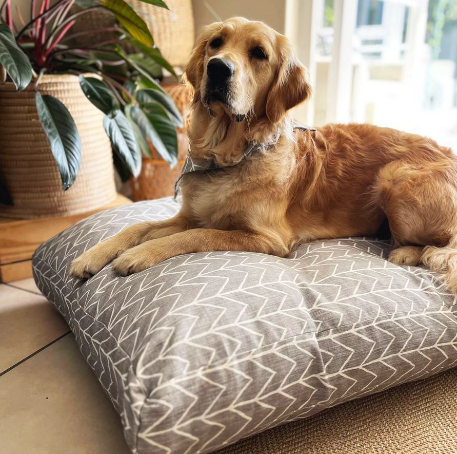 Emew Pet Beds Pet Accessories Emew 