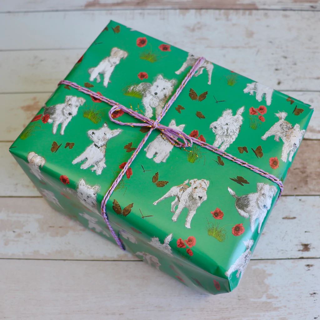 FEAT Wrapping Paper Wrapping Paper FEAT Sock Co. Teddie & Poppies 5 sheet roll